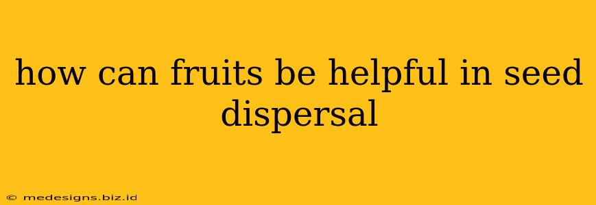 how can fruits be helpful in seed dispersal
