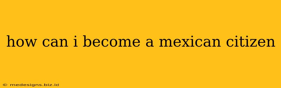 how can i become a mexican citizen