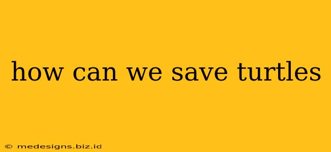 how can we save turtles