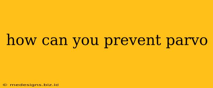 how can you prevent parvo