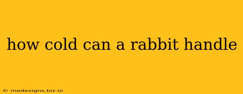 how cold can a rabbit handle