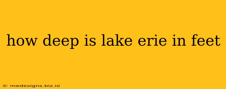 how deep is lake erie in feet