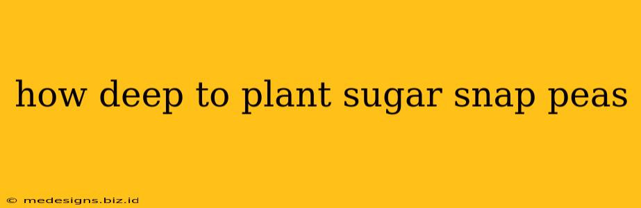 how deep to plant sugar snap peas