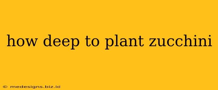 how deep to plant zucchini