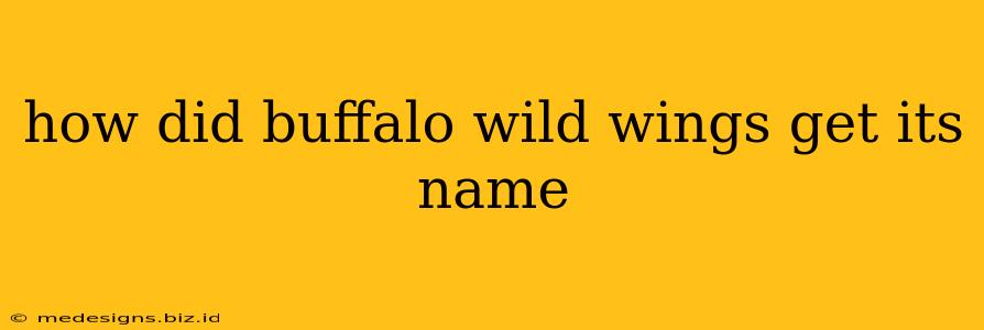 how did buffalo wild wings get its name