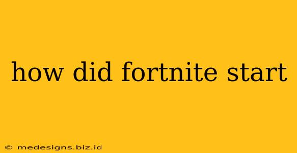 how did fortnite start
