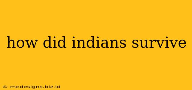 how did indians survive