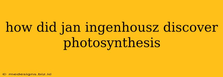 how did jan ingenhousz discover photosynthesis