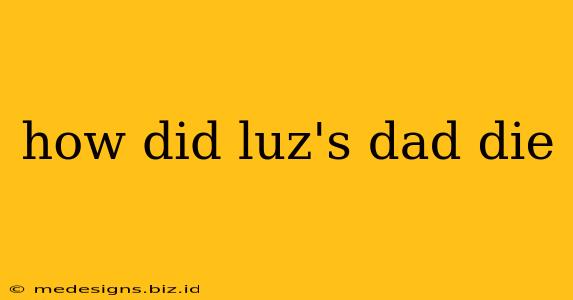 how did luz's dad die