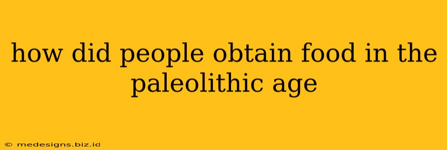 how did people obtain food in the paleolithic age