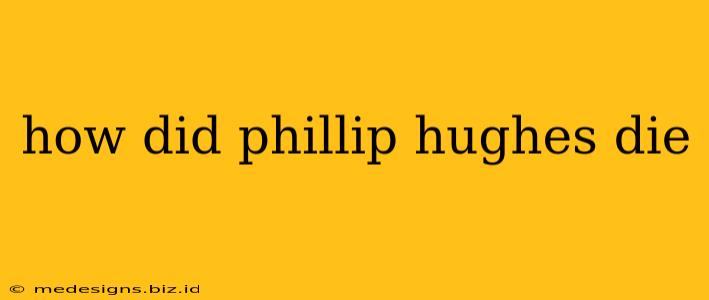 how did phillip hughes die
