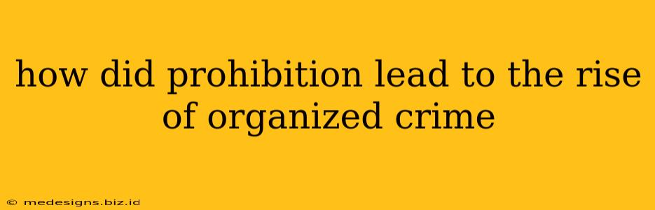 how did prohibition lead to the rise of organized crime