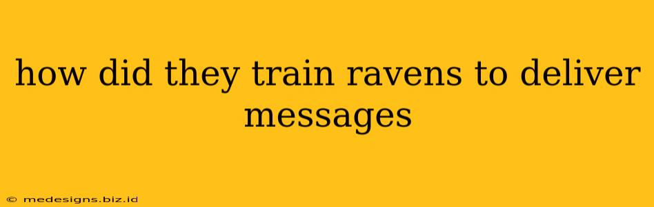 how did they train ravens to deliver messages