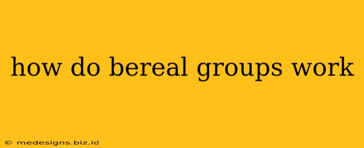 how do bereal groups work