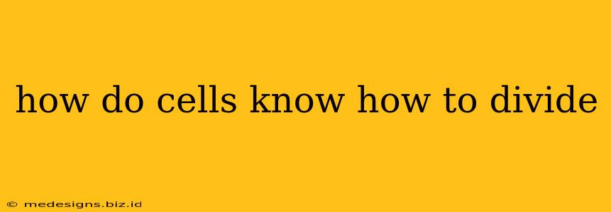 how do cells know how to divide