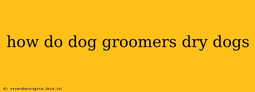 how do dog groomers dry dogs