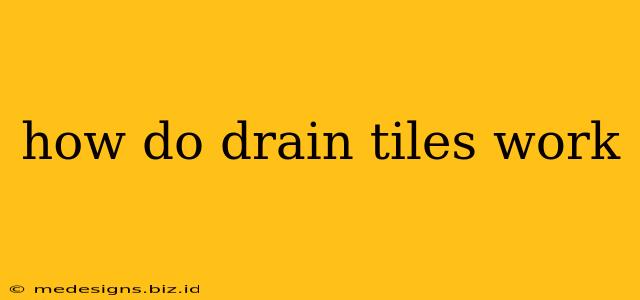 how do drain tiles work