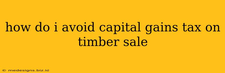 how do i avoid capital gains tax on timber sale