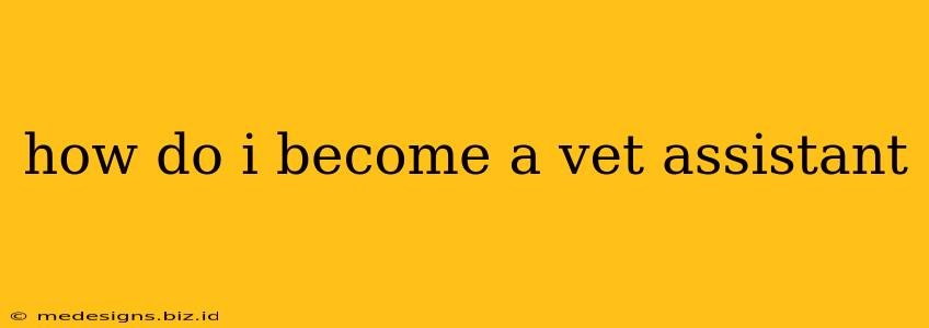 how do i become a vet assistant