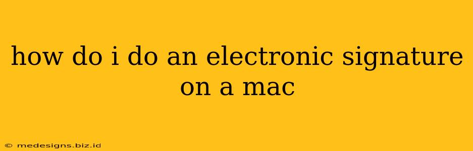 how do i do an electronic signature on a mac