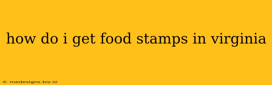 how do i get food stamps in virginia