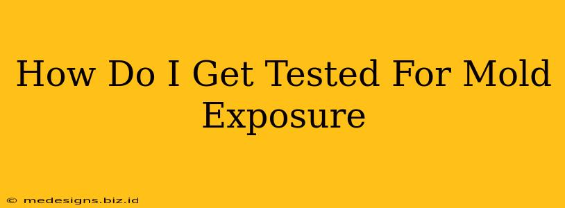 How Do I Get Tested For Mold Exposure