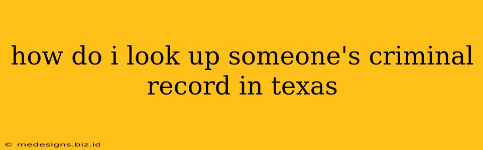 how do i look up someone's criminal record in texas