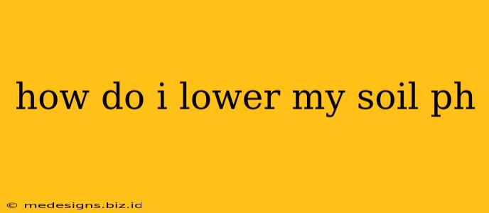 how do i lower my soil ph