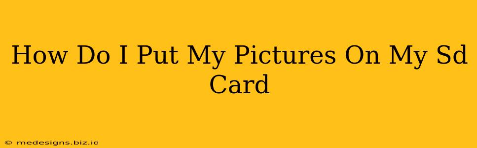 How Do I Put My Pictures On My Sd Card