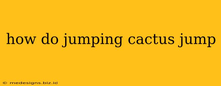 how do jumping cactus jump