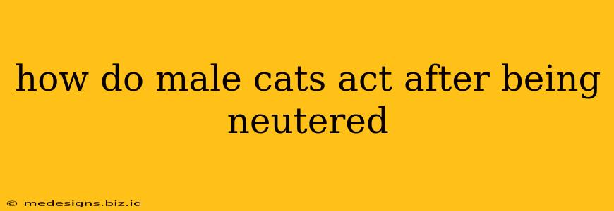 how do male cats act after being neutered