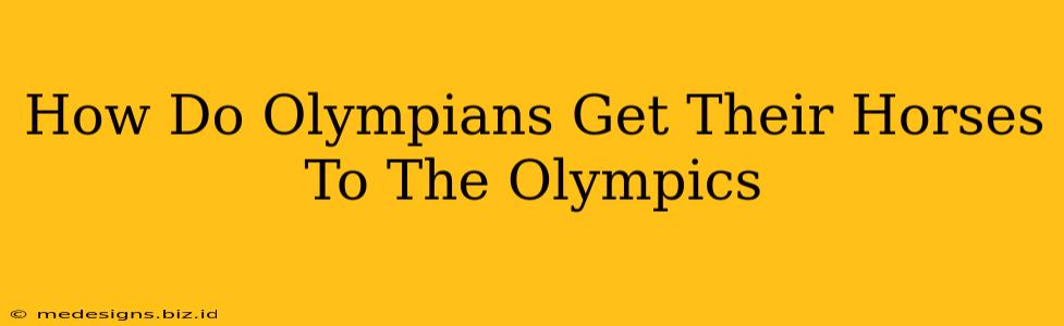 How Do Olympians Get Their Horses To The Olympics