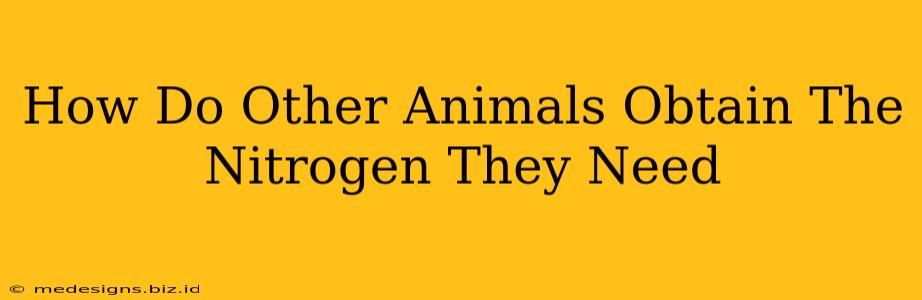 How Do Other Animals Obtain The Nitrogen They Need