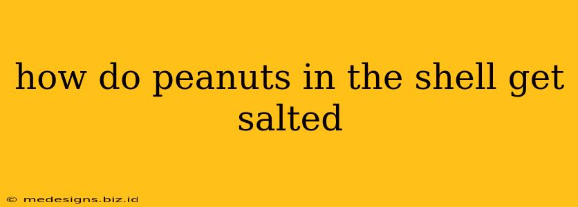 how do peanuts in the shell get salted