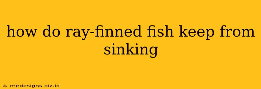 how do ray-finned fish keep from sinking