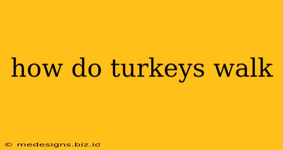 how do turkeys walk