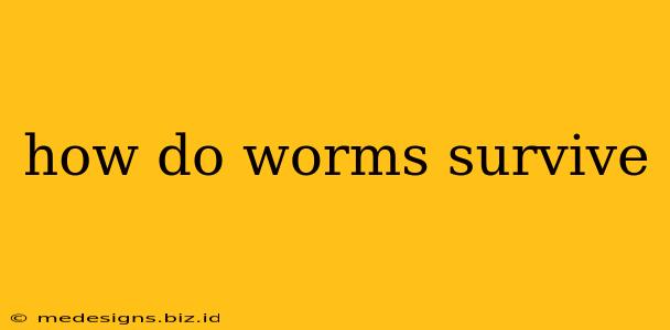 how do worms survive