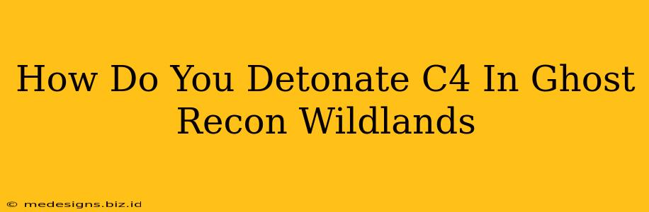 How Do You Detonate C4 In Ghost Recon Wildlands