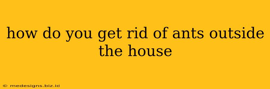 how do you get rid of ants outside the house