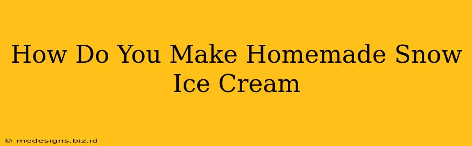 How Do You Make Homemade Snow Ice Cream