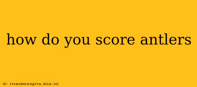 how do you score antlers