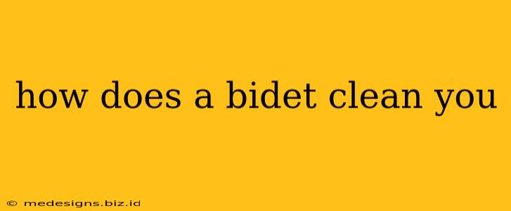 how does a bidet clean you