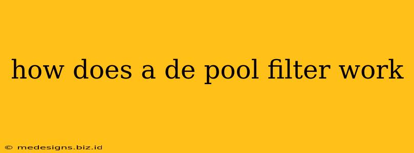 how does a de pool filter work