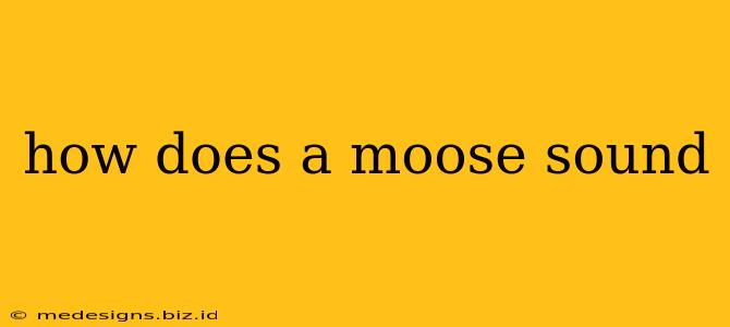 how does a moose sound