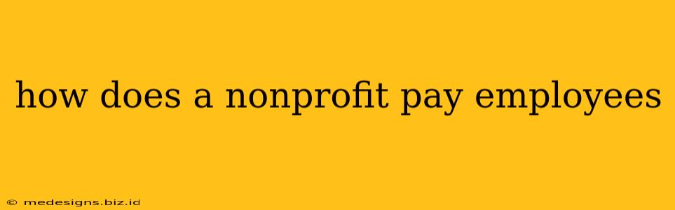 how does a nonprofit pay employees