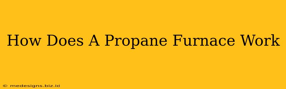 How Does A Propane Furnace Work