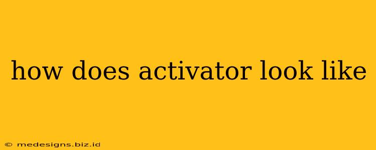 how does activator look like
