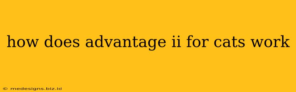 how does advantage ii for cats work