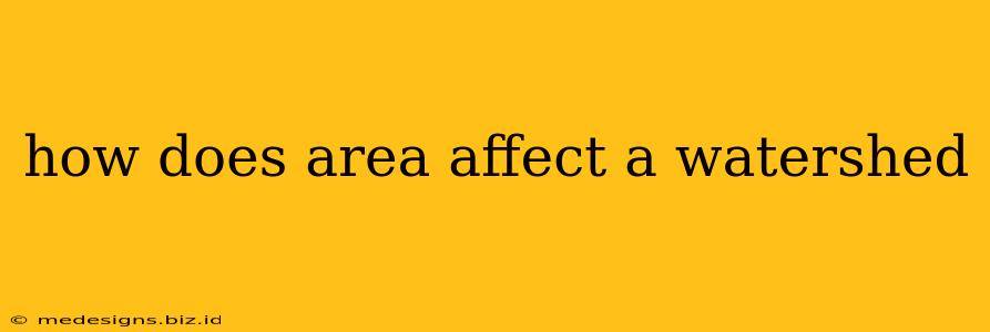 how does area affect a watershed