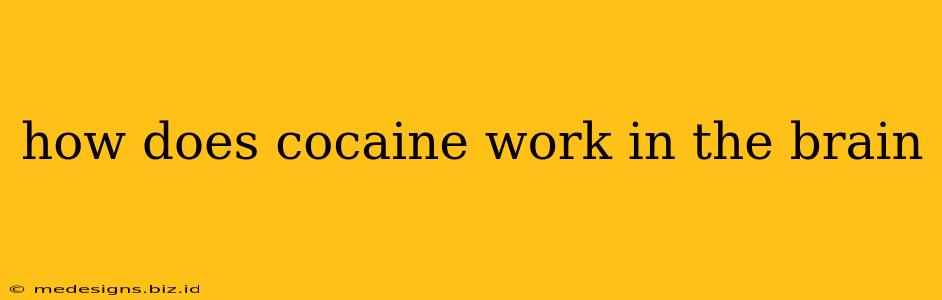 how does cocaine work in the brain